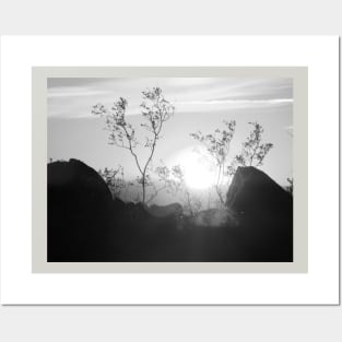 Black and White Sunset Posters and Art